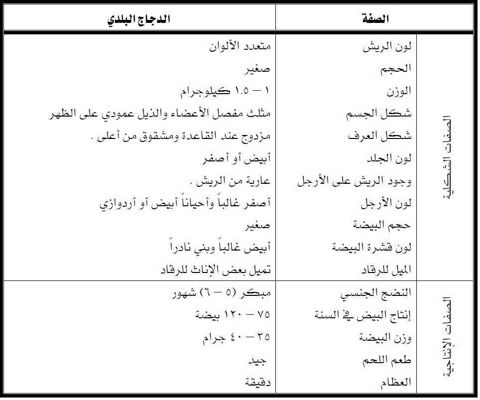 يبلغ وزن دجاجة ٦١٠ كيلوجرامات. وزن الدجاجة أقرب إلى